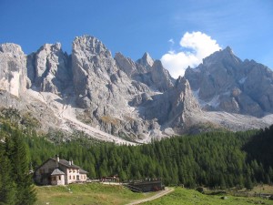 IMG_2462