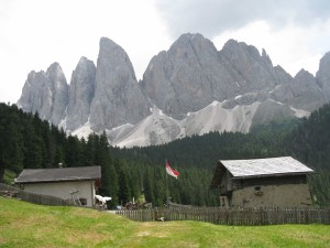 IMG_2537