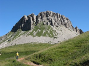 IMG_3982