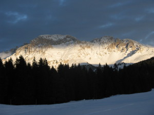 IMG_9937